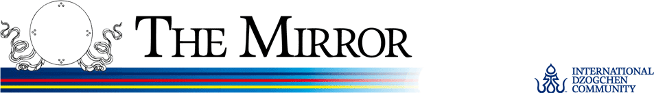 copy-mirrorlogo.gif