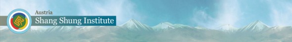 SSIAustria-webheader