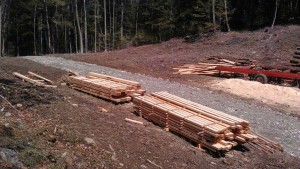 Boards which will cure and dry outdoors for about a year before usable