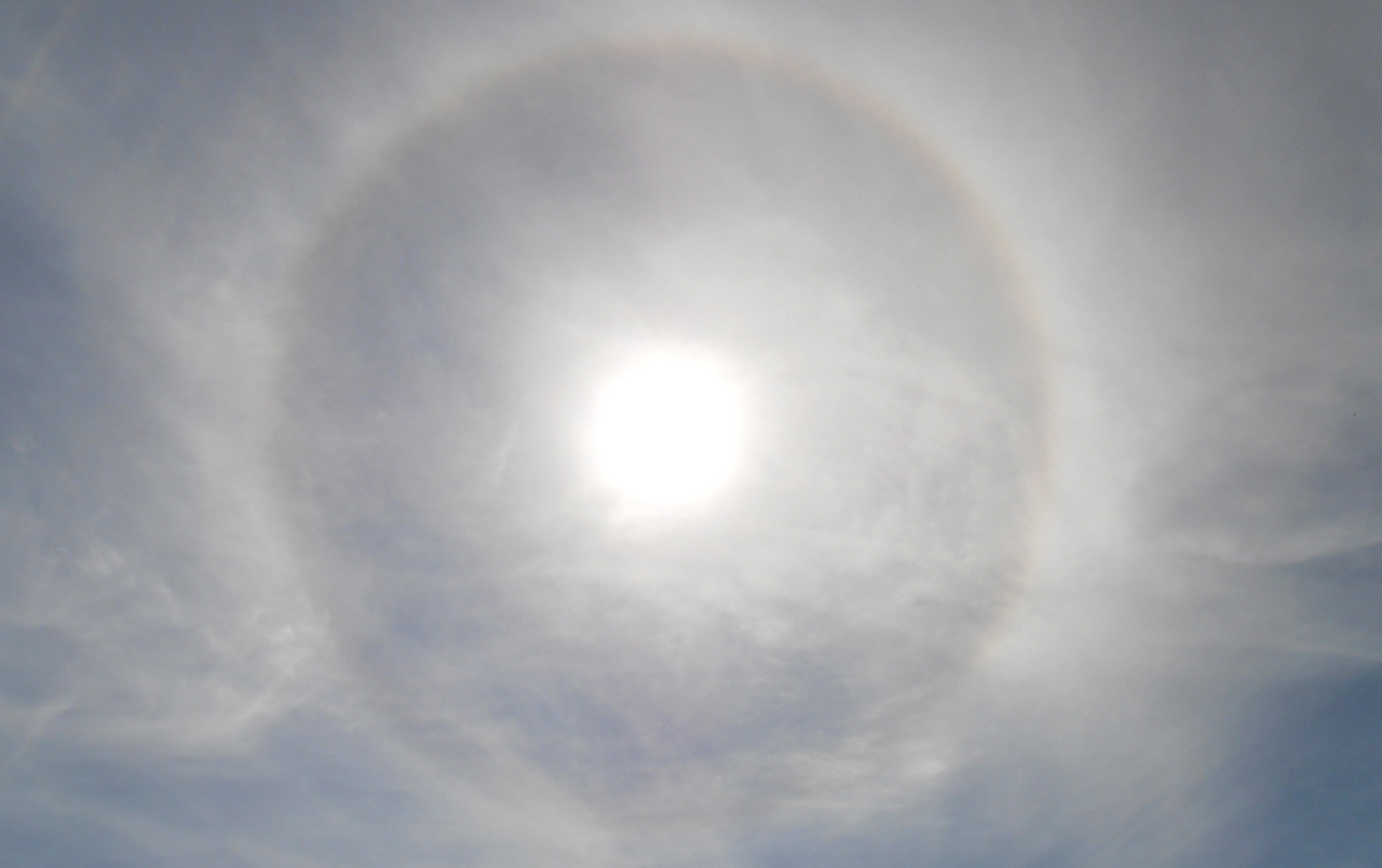 Canary Island Corona