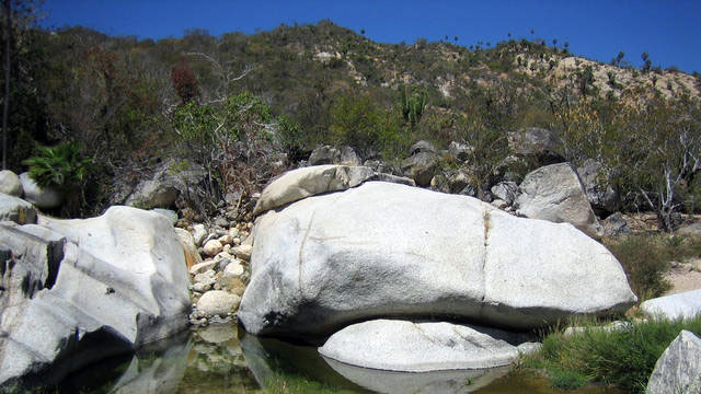 Holiday Time Baja with Chögyal Namkhai Norbu