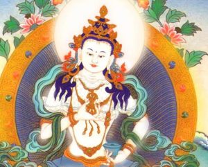 webcast saturday 2 november