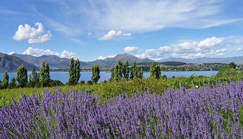New Gakyil in New Zealand