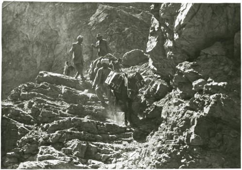 A vintage photo of one of Giuseppe Tucci's expeditions to Tibet