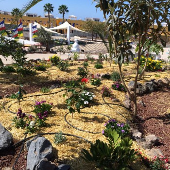 dzamling-gar-gardens