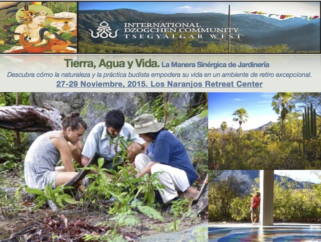 Permaculture at Tsegyalgar West, Baja in November
