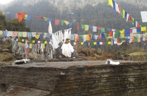 Guru Rinpoches Throne (Shug tri)