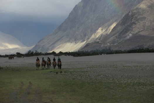Camel riding in Nubra Valley. Photo by Jamyang Oliphant