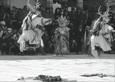 Cham dances at Khumbhum Monastery in Amdo, today Qingha Province, to celebrate Losar. Photo F. Grassi