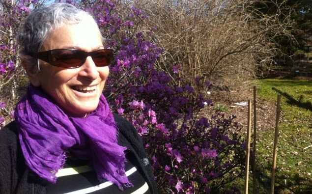 Died – Ayse Telatar