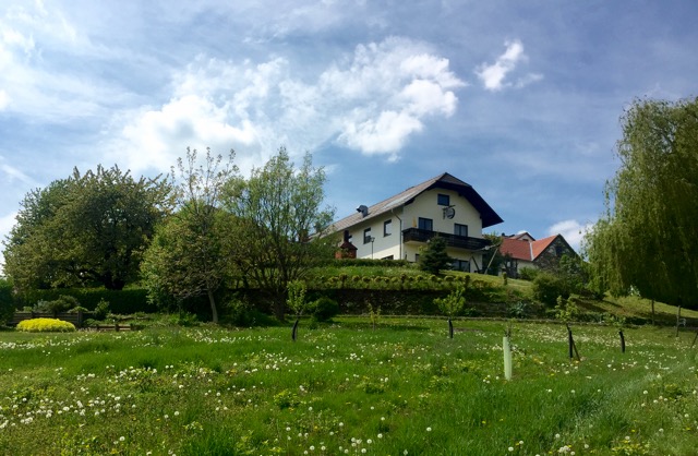 Photo Exhibition 40 years Dzogchen Community Austria