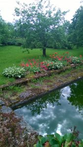 flowers and lake at the location of the stupa of complete victory