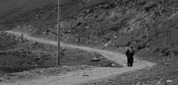 Aolei walking alone
