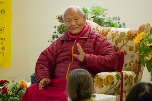 Rinpoche at Dribselling. Photo by Pietro Borsi