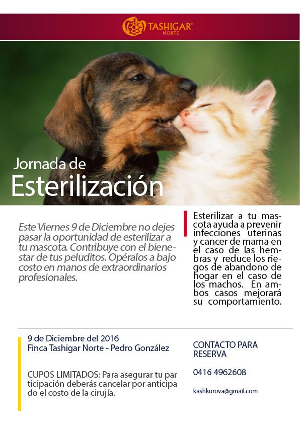 Publicity poster that announces our first massive sterilization day for December 9th.