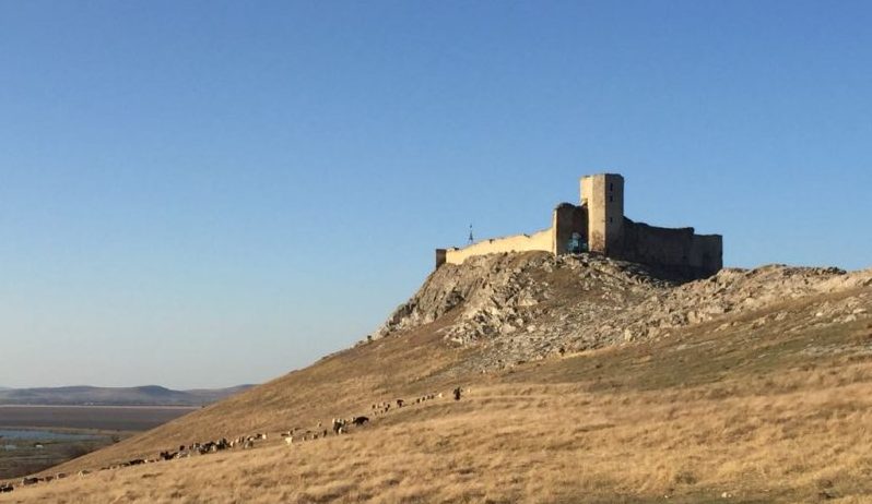 elias capriles romania