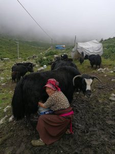 journey eastern tibet