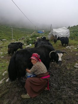 journey eastern tibet