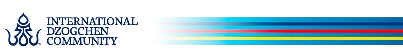 IDC logo