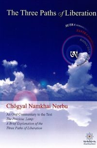 New E-Book From Shang Shung Publications