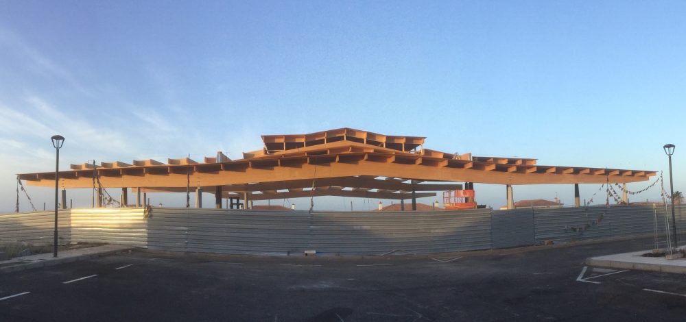 Video of the Development of Dzamling Gar and the New Gömpa