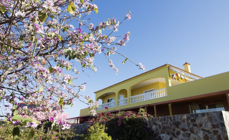 Special Offers on Dzamling Gar Accommodation