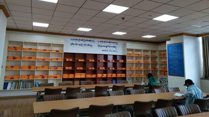 ssi russia medicine graduate internship