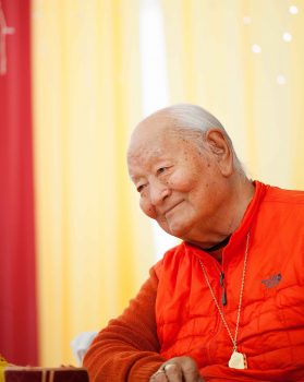 tibetan medicine ChNN Phuntsog Wangmo