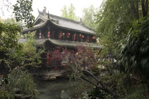 china tour rosa namkhai