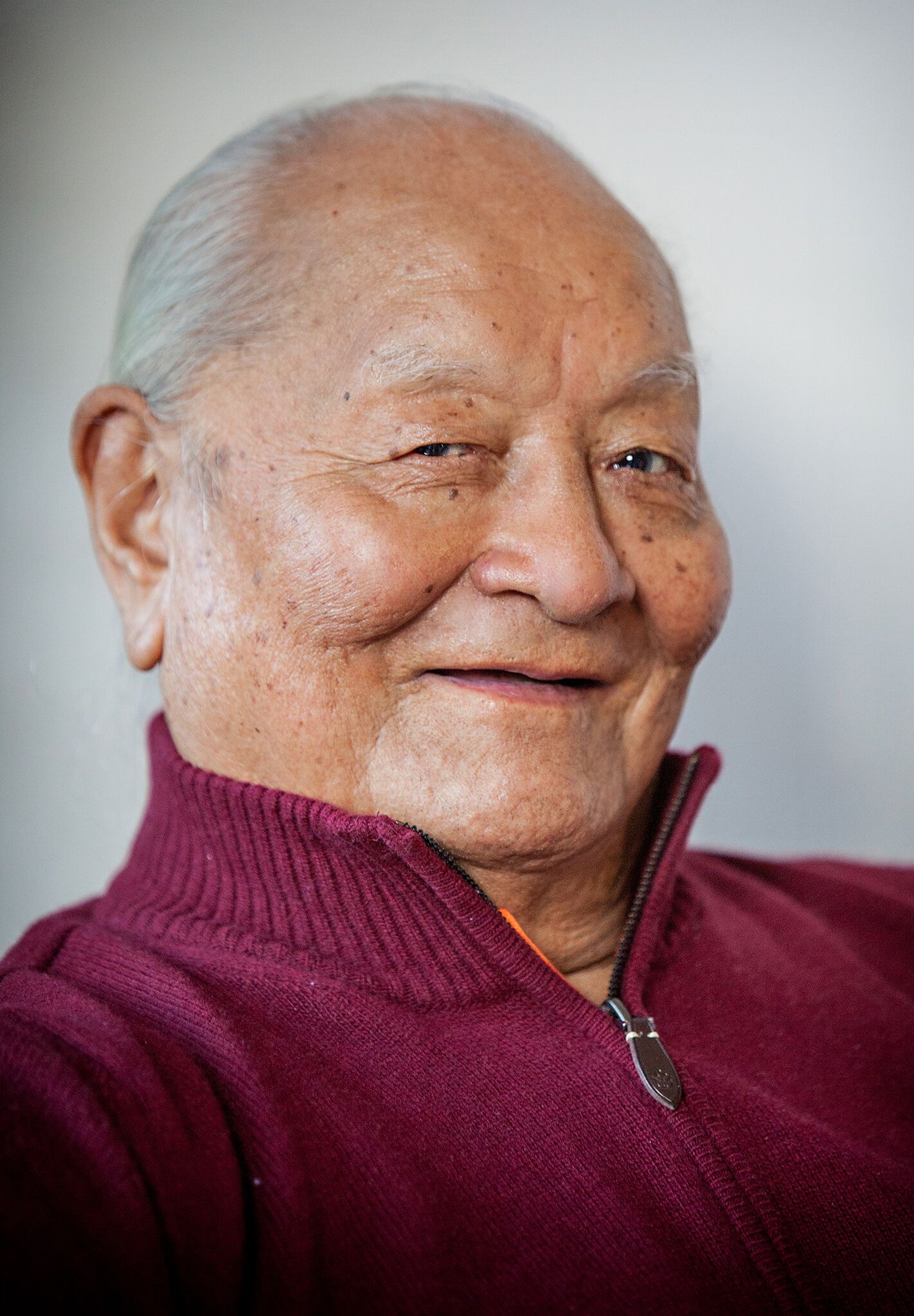 Ricordando Rinpoche