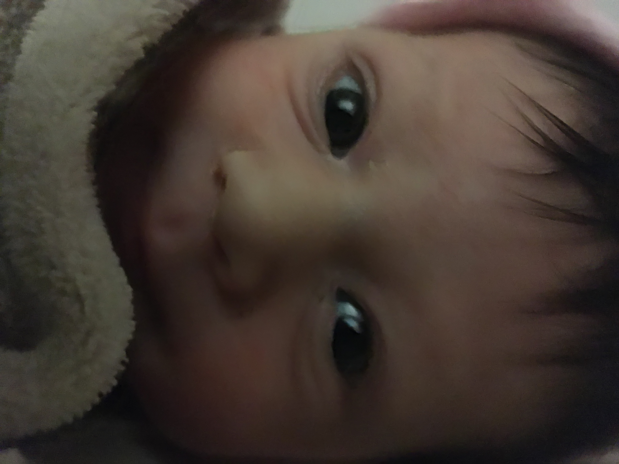 Born –  Elise Athena Alegría
