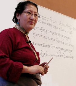 Online Traditional Training in Tibetan Medicine, February 12th, 2019