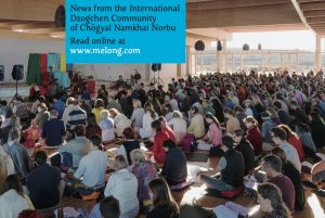 the mirror 142 online