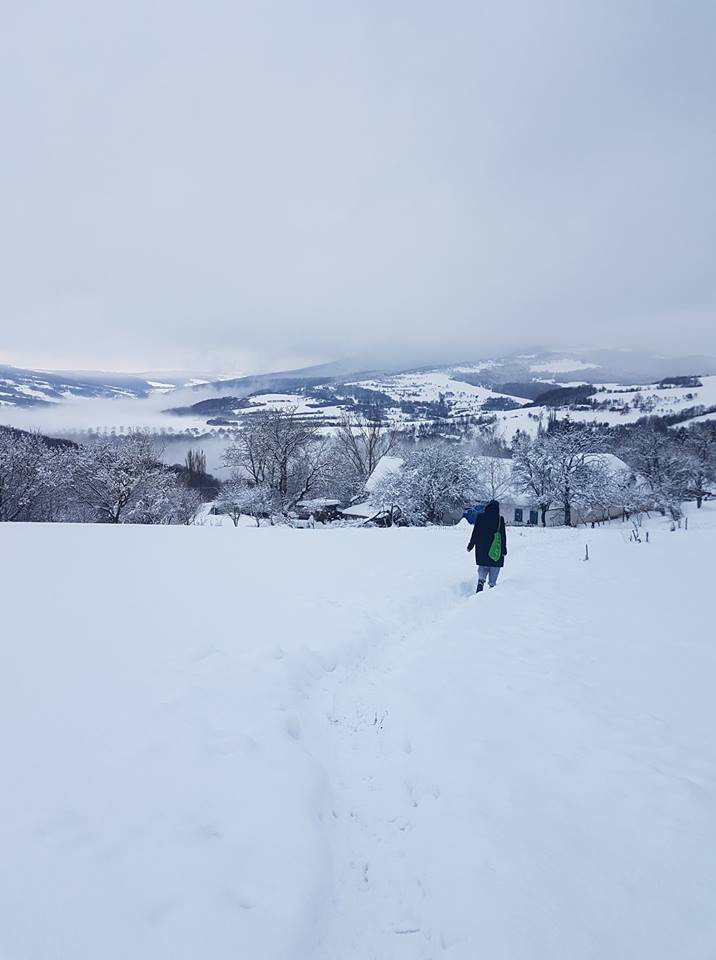 10th anniversary wangdenling