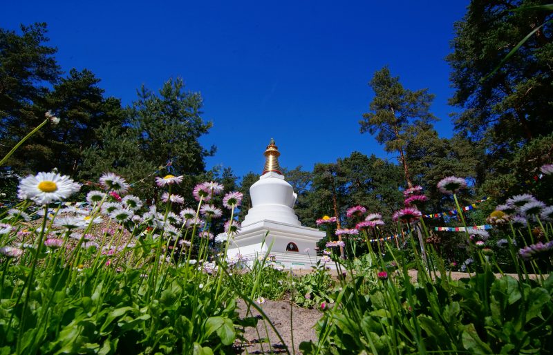 Kunsangar North Russia Update & Summer Events