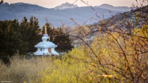 webcast practices april 19-25