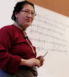 New Four Year Tibetan Medicine Program