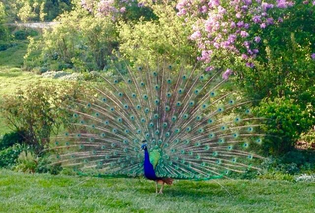 non dimentichiamo ka-ter