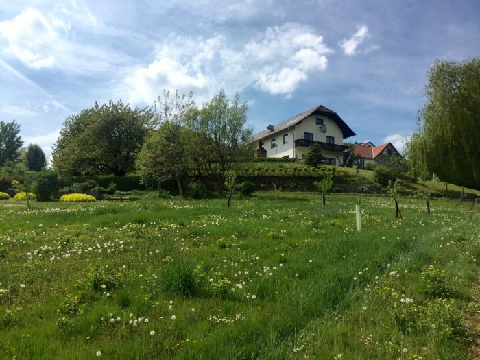 Online Practices from Yeselling Austria