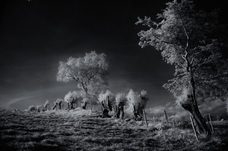 Community Artist Dorota Dylka – The Pursuit of Mystery