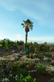 dzamling gar moon garden