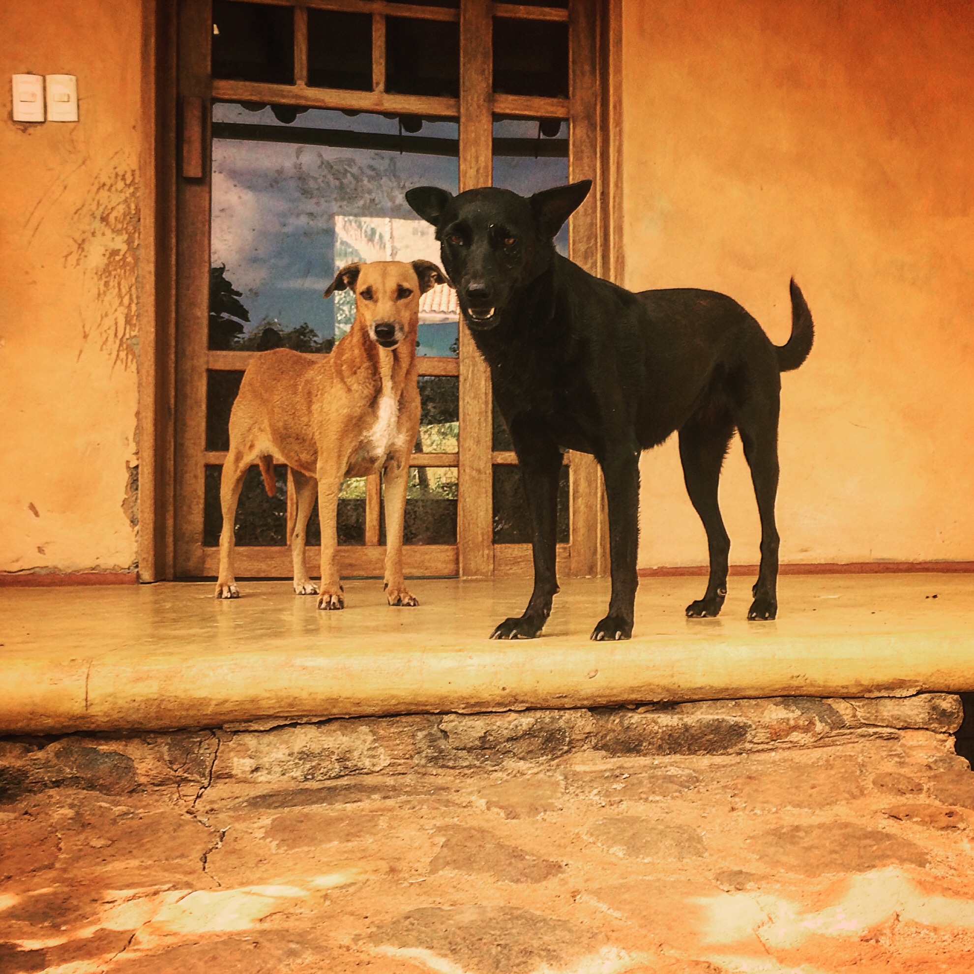 Notizie da Tashigar North