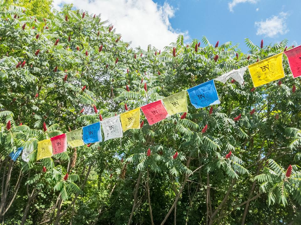 Tsegyalgar East Online Practices: August 17–22