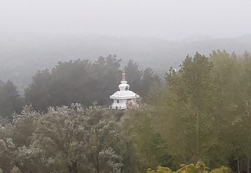 honoring parinirvana namkhai norbu