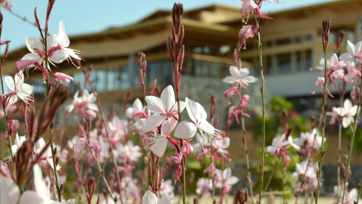 Welcome to Dzamling Gardens