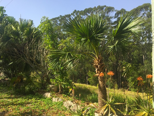 namgyalgar new evolvement phase