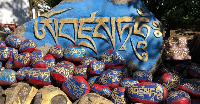 School for Tibetan Language and Translation