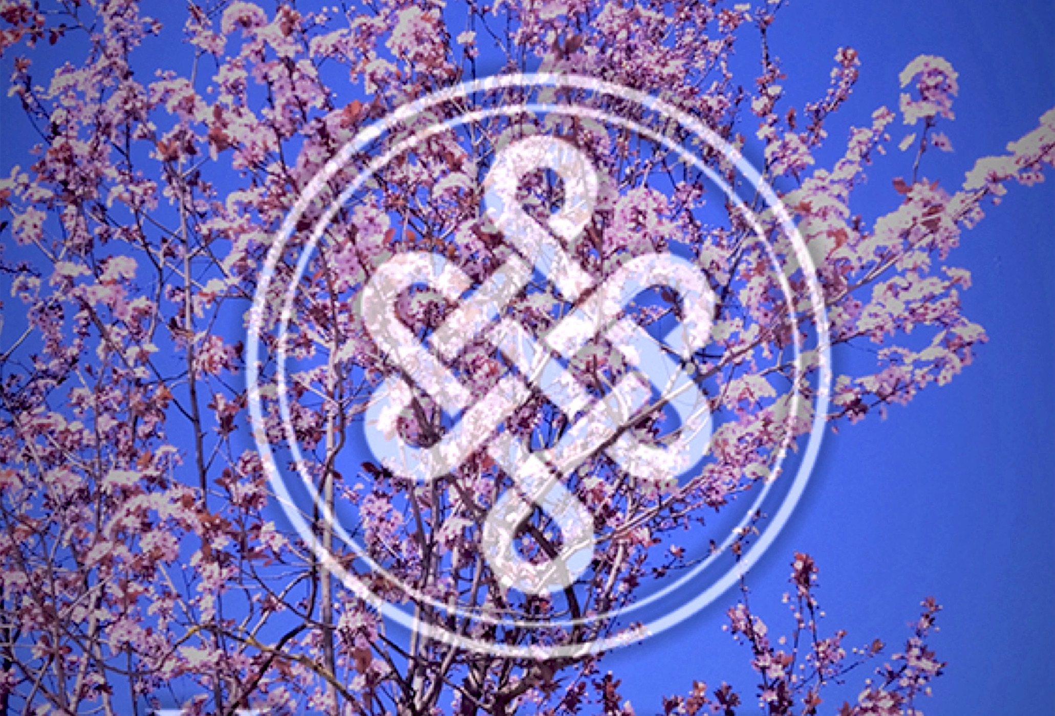 Khaita April Newsletter