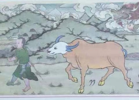 The Metal Ox Year & the Tibetan Mewas