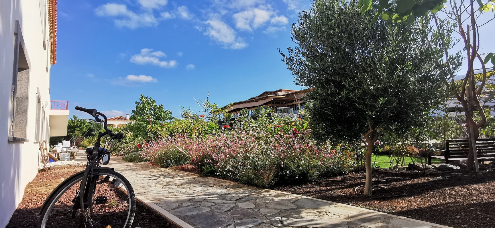 Dzamling Gar Weekly Schedule May 31 – June 6. 2021